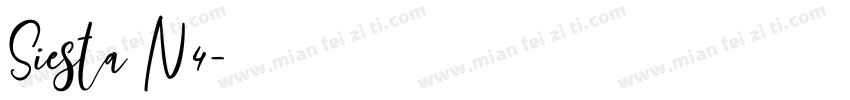 Siesta N4字体转换
